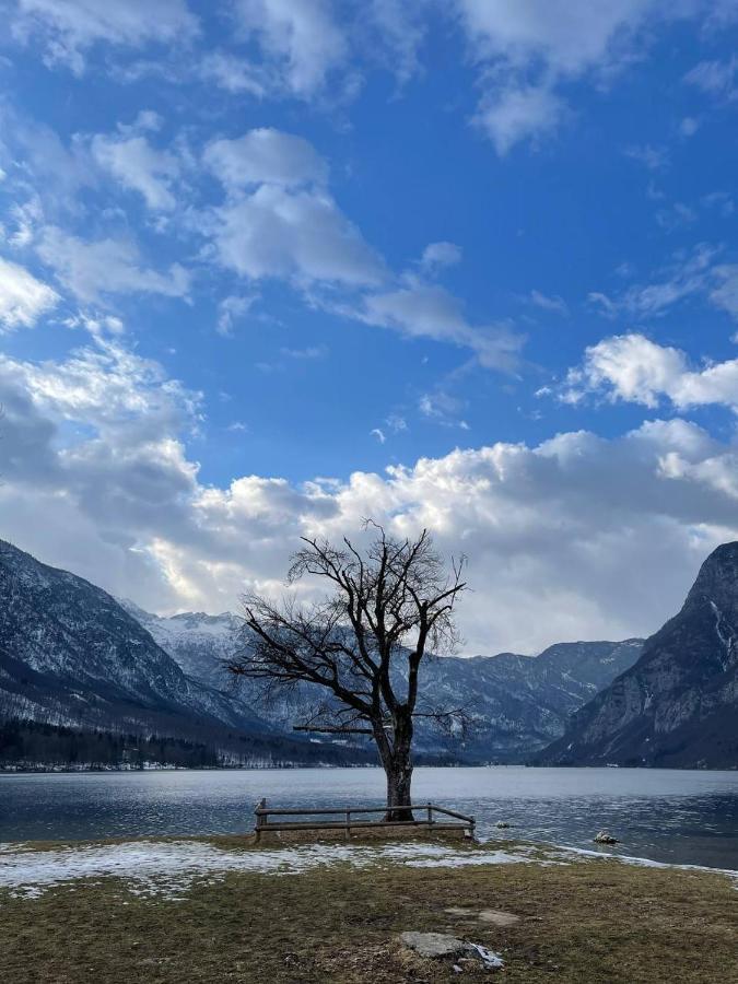 Remarkable home Bohinj Lake Eksteriør billede